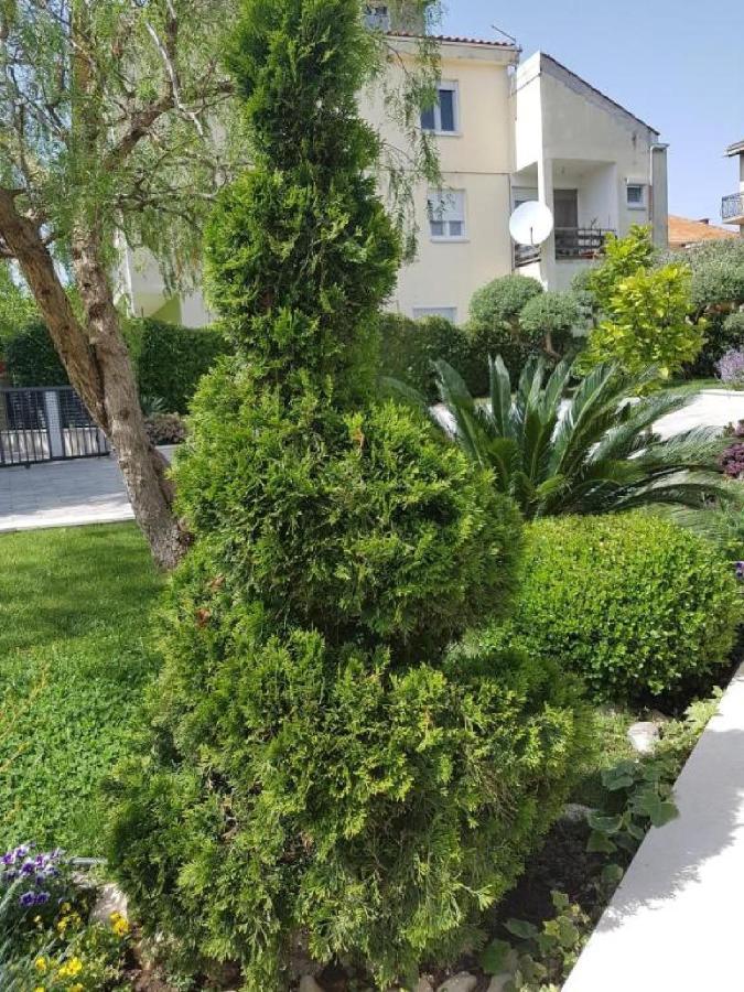Calypso Royal Apartment Zadar Exteriör bild